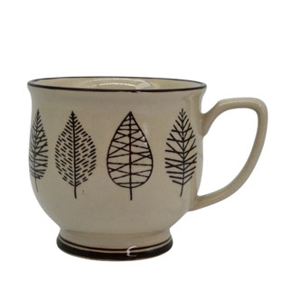 MUG IRIS